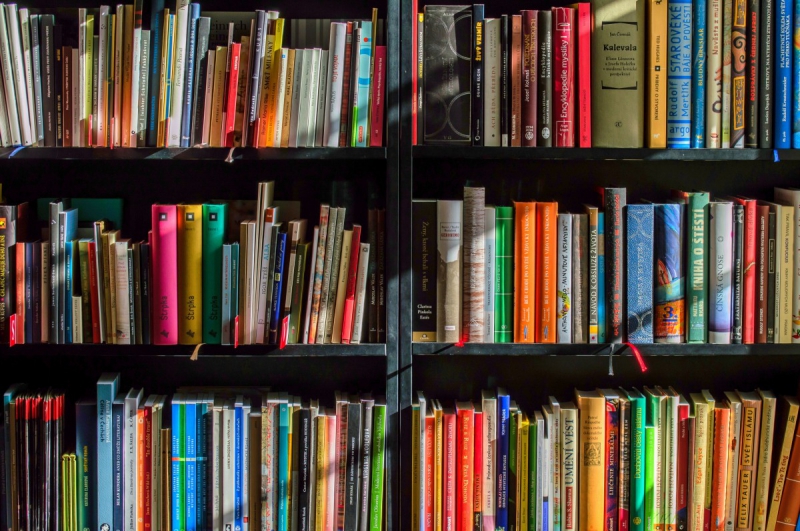 vitrine-CUERS-min_books_bookstore_book_reading_shop_writer_sale_books_read-822866